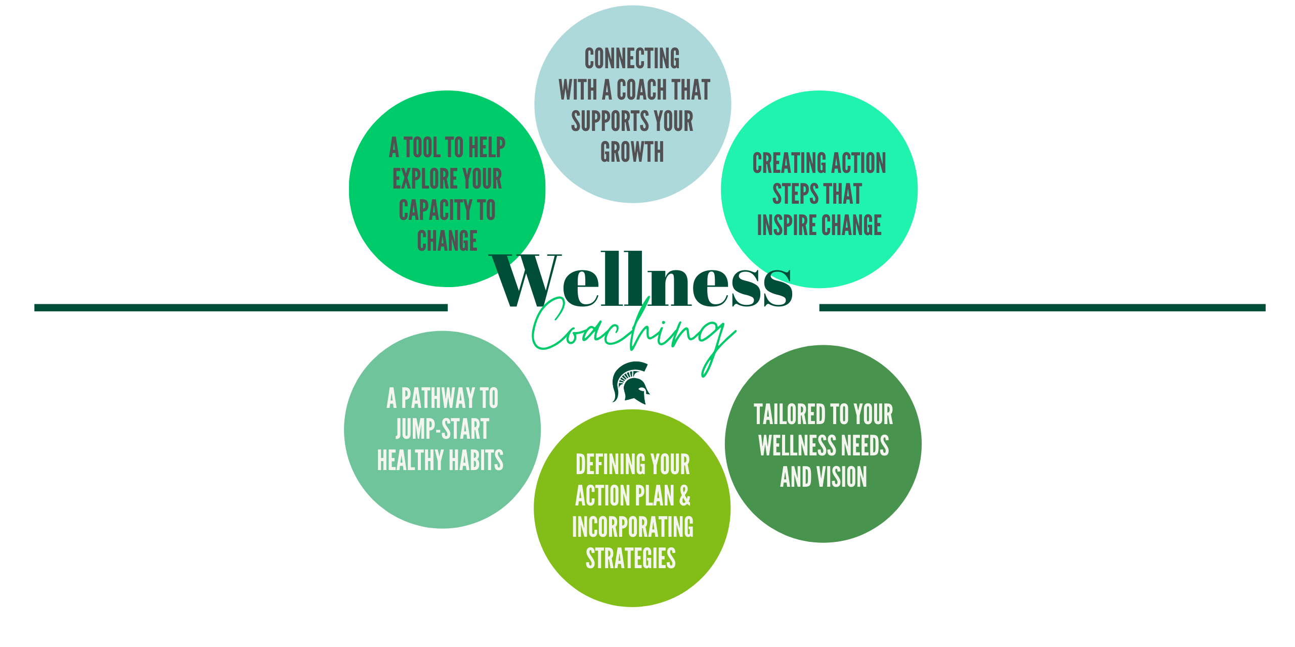 Fitness Wellness Health Promotion Michigan State University