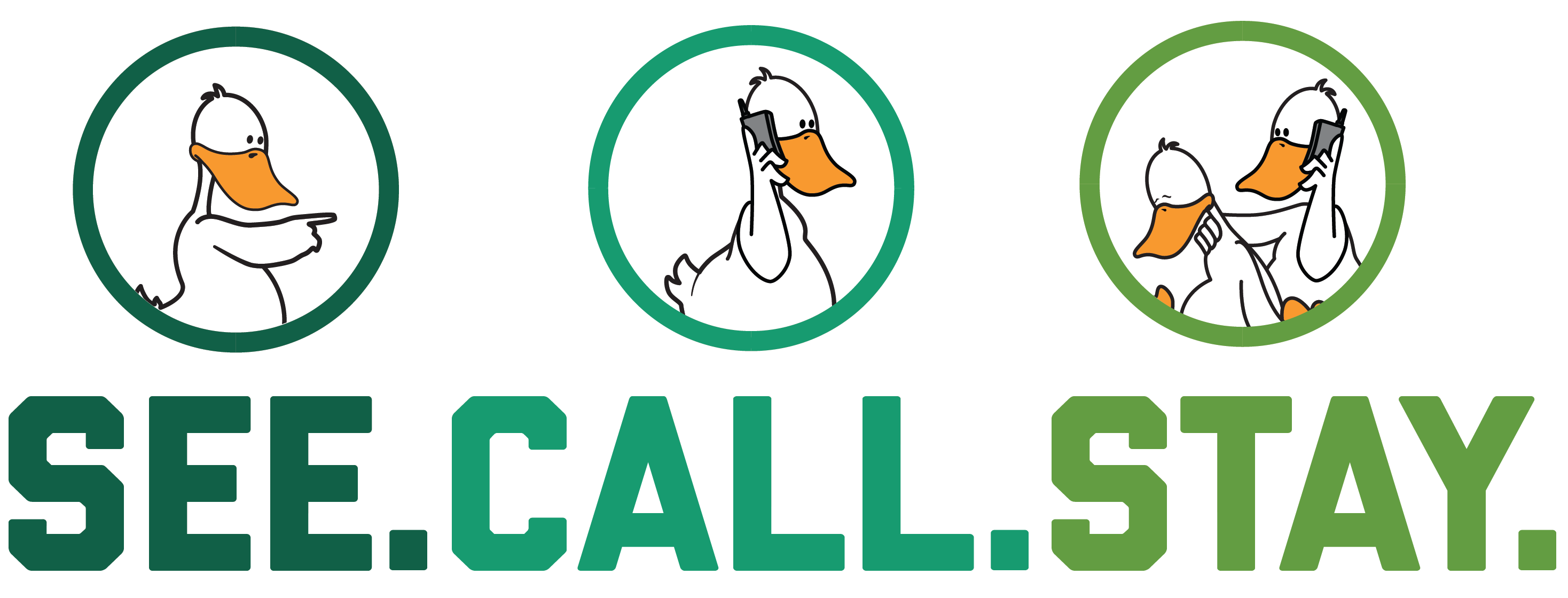 Four illustrated ducks sit atop the words "See. Call. Stay" The first duck points to the right, the second duck places a phone call, and the third wraps its wing around a fellow duck.